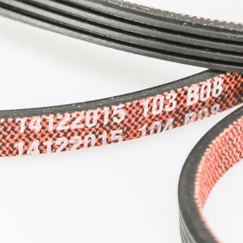 Whirlpool WP8547157 Dryer Drum Belt Whirlpool