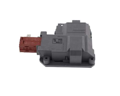 Frigidaire 131763256 Door Lock And Switch Assembly